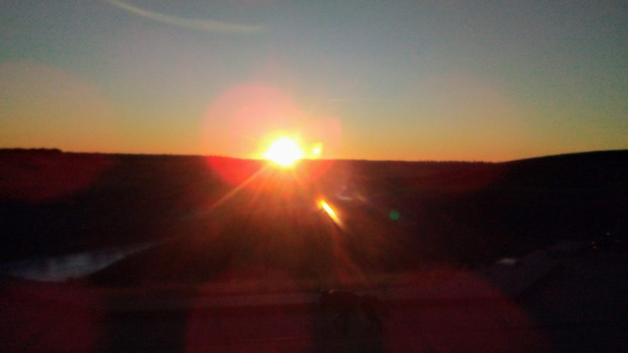 The Beauty of Early Morning